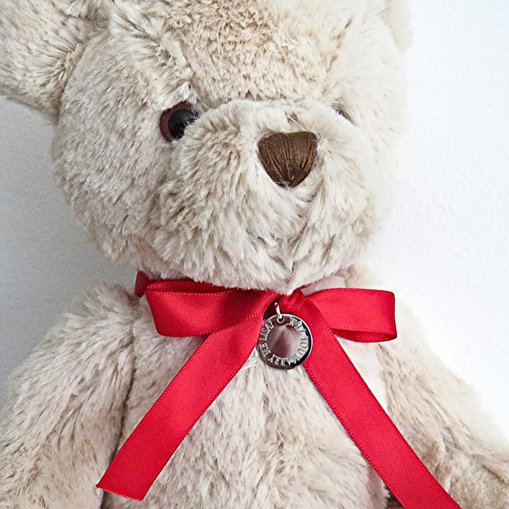 Personalised Teddy Bear & Edge Disc, Red Ribbon Gift-0