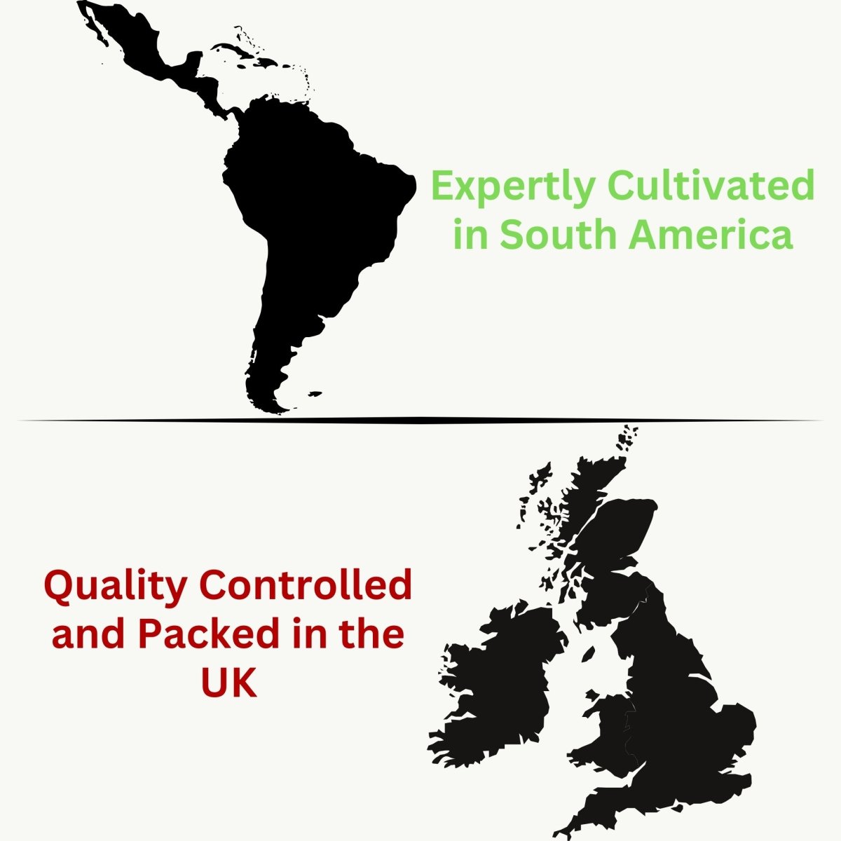 Yerba Mate - Loose Leaf-2