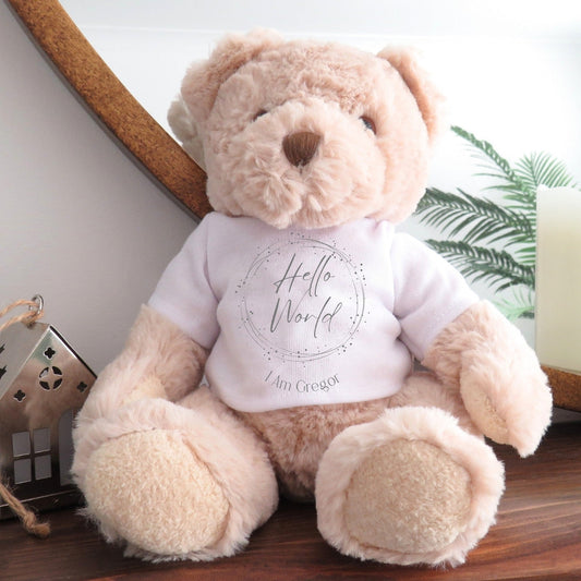 Personalised Luxury Teddy Bear with Hello World Silver Circle T-Shirt-0