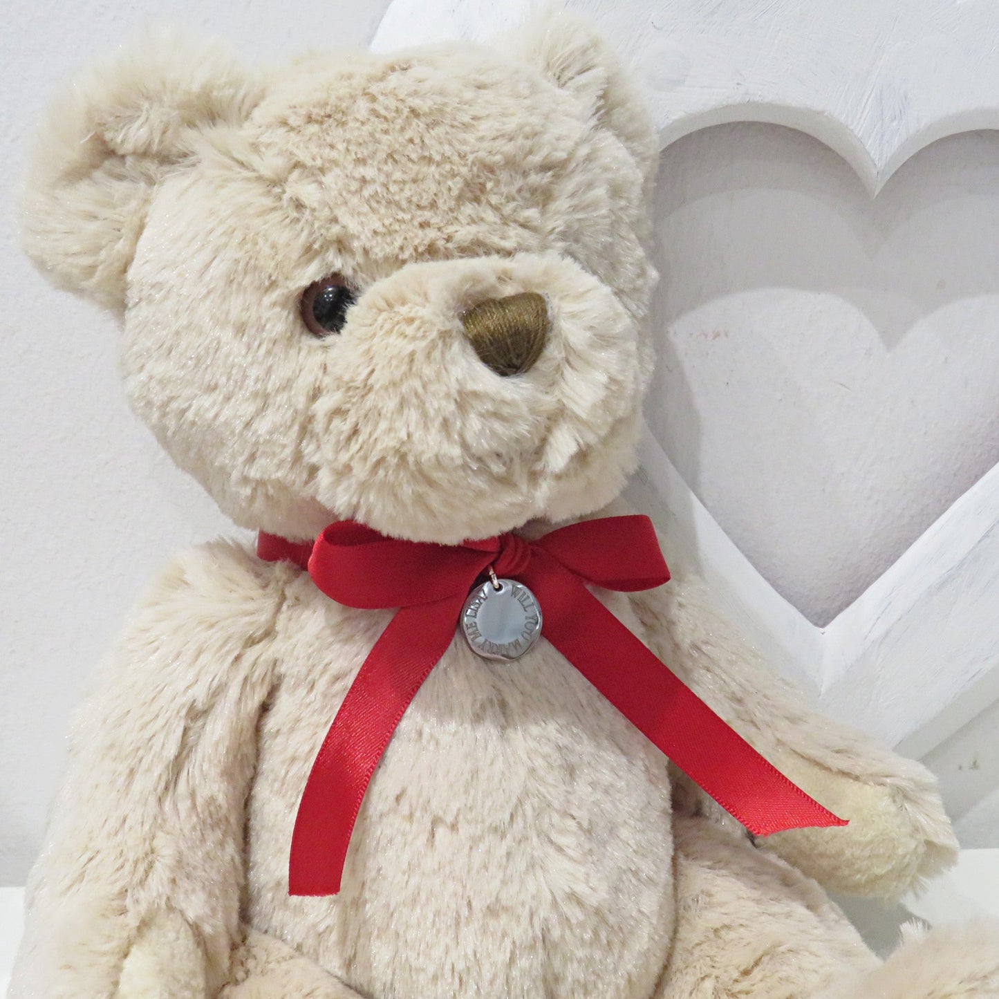 Personalised Teddy Bear & Edge Disc, Red Ribbon Gift-1