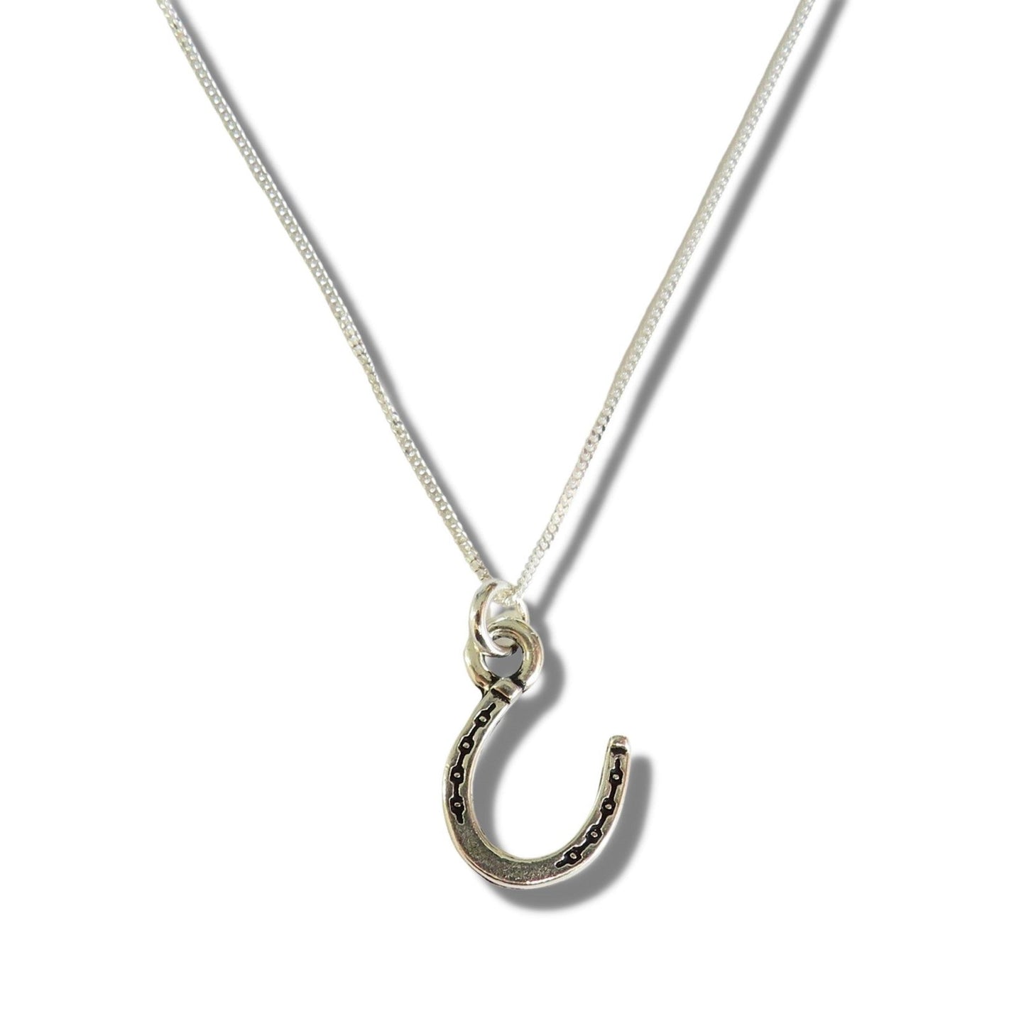 Horseshoe Silver Necklace Gift-0